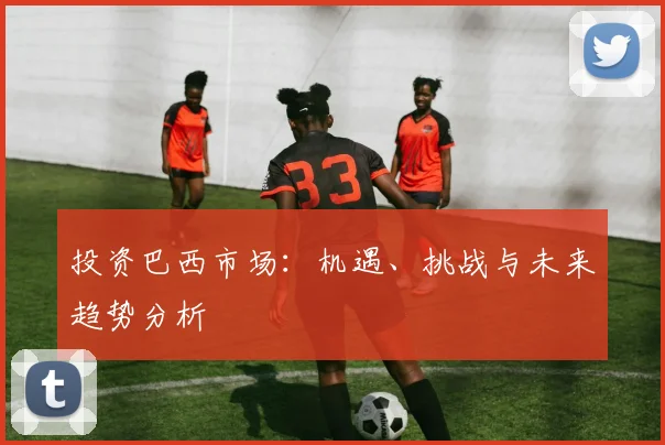 投资巴西市场:机遇、挑战与未来趋势分析