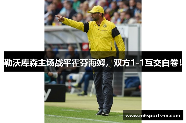 勒沃库森主场战平霍芬海姆，双方1-1互交白卷！