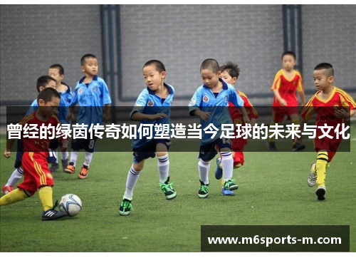 曾经的绿茵传奇如何塑造当今足球的未来与文化